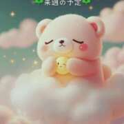 ヒメ日記 2025/03/01 19:22 投稿 ゆうき ぷるるんマダム 難波店