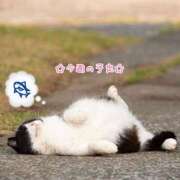 ヒメ日記 2025/03/11 10:14 投稿 ゆうき ぷるるんマダム 難波店