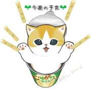 ヒメ日記 2025/04/08 21:49 投稿 ゆうき ぷるるんマダム 難波店