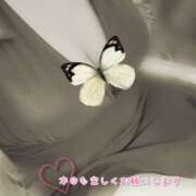 ヒメ日記 2025/06/04 10:05 投稿 ゆうき ぷるるんマダム 難波店