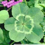 ヒメ日記 2025/08/08 21:02 投稿 ゆうき ぷるるんマダム 難波店