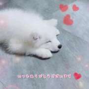 ゆうき 今後の予定について ぷるるんマダム 難波店