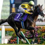 ヒメ日記 2025/11/04 17:23 投稿 浅野いちか 恋する奥さん 西中島店