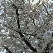 はるひ お礼日記🌸✨M様💌T様 One More奥様 大宮店