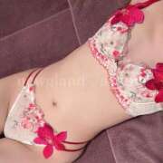 ヒメ日記 2025/12/09 14:17 投稿 あやめ ニューグランド