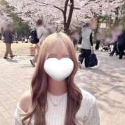 ヒメ日記 2026/03/30 15:21 投稿 あやめ ニューグランド