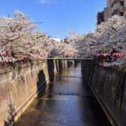 ヒメ日記 2026/04/08 20:23 投稿 あやめ ニューグランド