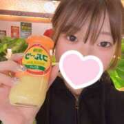 ヒメ日記 2024/12/25 15:31 投稿 ひよこ ノース -North-