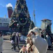 ヒメ日記 2025/01/12 14:52 投稿 ひよこ ノース -North-