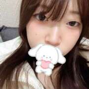 ヒメ日記 2025/01/25 16:31 投稿 ひよこ ノース -North-