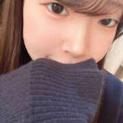 ヒメ日記 2025/02/08 13:02 投稿 ひよこ ノース -North-