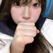 ヒメ日記 2025/02/08 15:39 投稿 ひよこ ノース -North-