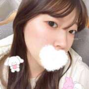 ヒメ日記 2025/02/11 11:01 投稿 ひよこ ノース -North-