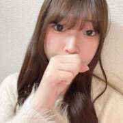 ヒメ日記 2025/02/12 14:32 投稿 ひよこ ノース -North-