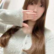 ヒメ日記 2025/03/08 10:31 投稿 ひよこ ノース -North-