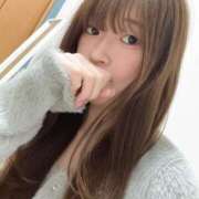 ヒメ日記 2025/03/09 13:04 投稿 ひよこ ノース -North-