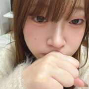 ヒメ日記 2025/03/18 15:05 投稿 ひよこ ノース -North-