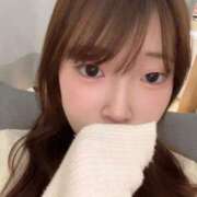 ヒメ日記 2025/03/29 16:52 投稿 ひよこ ノース -North-