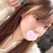 ヒメ日記 2025/04/03 16:02 投稿 ひよこ ノース -North-