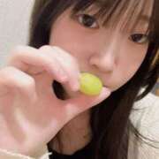 ヒメ日記 2025/05/04 20:17 投稿 ひよこ ノース -North-