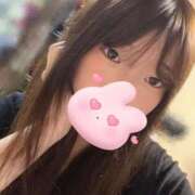 ヒメ日記 2025/05/25 14:09 投稿 ひよこ ノース -North-