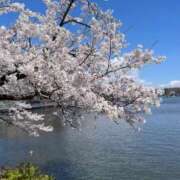 ゆこ・SP グァバってどんな味ですか？ピザーラにも売ってるよね飲んだことないけど やまとなでしこ桜組