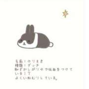 ヒメ日記 2026/09/20 06:10 投稿 ゆこ・SP やまとなでしこ桜組