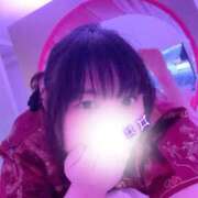 ヒメ日記 2025/12/31 15:15 投稿 みかん 僕のぽっちゃり伝説