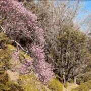 ヒメ日記 2025/10/07 20:23 投稿 おと 那珂川角海老