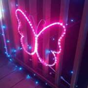 ヒメ日記 2025/12/24 21:13 投稿 おと 那珂川角海老