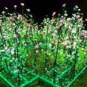 ヒメ日記 2026/01/01 10:42 投稿 おと 那珂川角海老