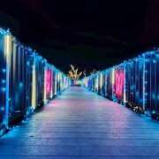 ヒメ日記 2026/01/02 16:53 投稿 おと 那珂川角海老