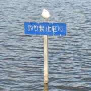 ヒメ日記 2026/07/29 12:23 投稿 おと 那珂川角海老