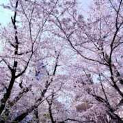 栞（しおり） 4/4お休みします… 人妻・若妻デリヘル レディプレイス