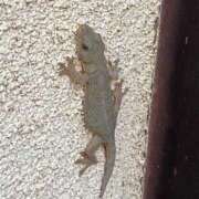 ヒメ日記 2025/06/22 17:00 投稿 由希 高崎人妻城