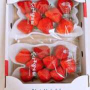 ヒメ日記 2025/03/14 15:41 投稿 中村みふゆ セクシーキャット 神田店