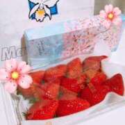 ヒメ日記 2025/03/17 16:17 投稿 中村みふゆ セクシーキャット 神田店