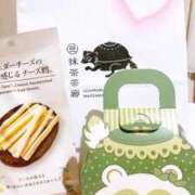 ヒメ日記 2025/04/15 09:33 投稿 中村みふゆ セクシーキャット 神田店