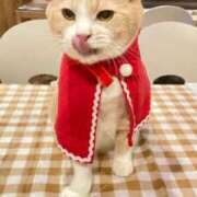 ヒメ日記 2025/12/18 14:30 投稿 中村みふゆ セクシーキャット 神田店