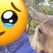 ヒメ日記 2026/02/11 10:55 投稿 中村みふゆ セクシーキャット 神田店