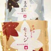 ヒメ日記 2026/02/20 10:49 投稿 中村みふゆ セクシーキャット 神田店