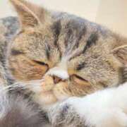 ヒメ日記 2026/03/16 12:23 投稿 中村みふゆ セクシーキャット 神田店