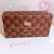 中村みふゆ ありがとう セクシーキャット 神田店