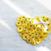 ヒメ日記 2026/02/03 15:41 投稿 ようかん お取り寄せスイーツ 女の子市場