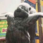 ようかん おはよーかん お取り寄せスイーツ 女の子市場