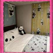 ヒメ日記 2025/04/19 00:55 投稿 なみ 奥様鉄道69 東京店