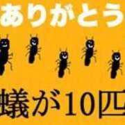 ヒメ日記 2024/10/31 13:50 投稿 猫田（ねこた） 熟女の風俗最終章 名古屋店