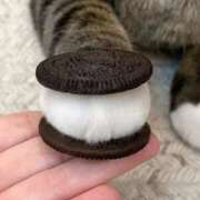 ヒメ日記 2025/05/09 13:57 投稿 りょう 熟女の風俗最終章 相模原店