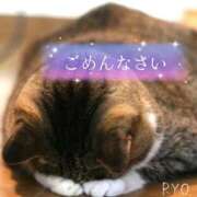 ヒメ日記 2025/09/19 07:50 投稿 りょう 熟女の風俗最終章 相模原店