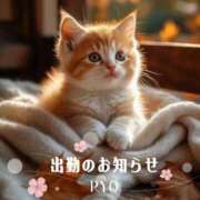 ヒメ日記 2025/11/16 10:00 投稿 りょう 熟女の風俗最終章 相模原店